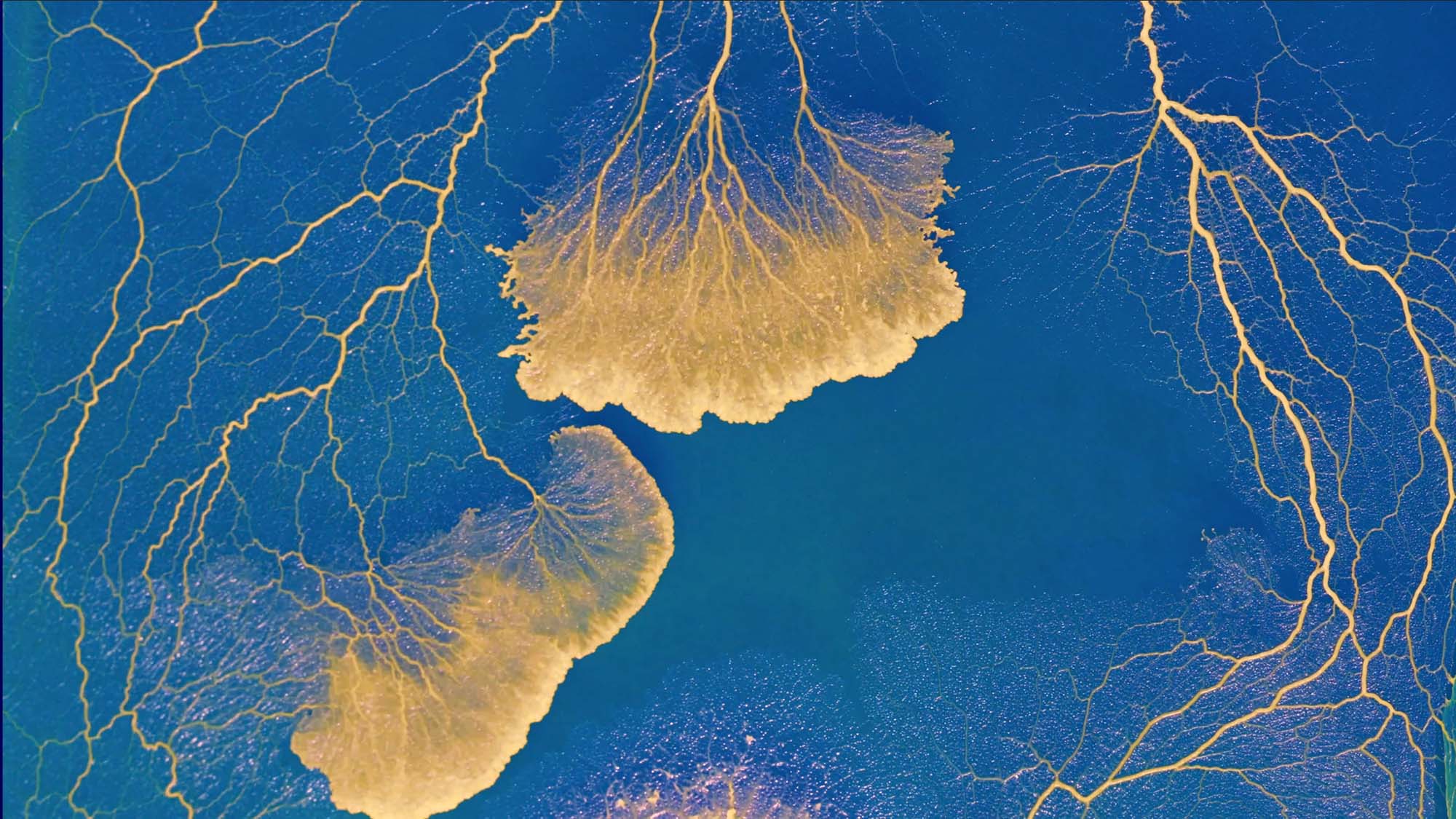 Europe And International CNES Europe And International CNES