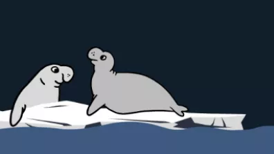 Infographies - Les éléphants de mer, sentinelles du changement climatique