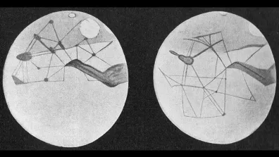 Carte des canaux martiens réalisée par Percival Lowell, auteur d’un livre sur cette théorie (1906).