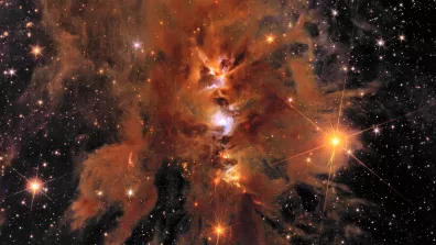 Image du télescope spatial Euclid : gros plan sur la nébuleuse M78 située à 1 600 années-lumière, où naissent de nombreuses étoiles.