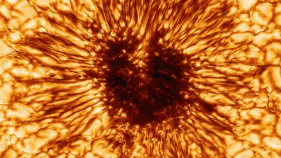 Gros plan sur une tâche sombre à la surface du Soleil de 5000 km de diamètre. Image du télescope Daniel-K.-Inouye.