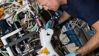 L'astronaute de l'ESA Andreas Mogensen est en train d'observer au microscope, à bord de l'ISS, les organoïdes cérébraux de l'expérience Cerebral Ageing lors d'une session de changement de milieu de culture