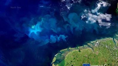 Image satellite montrant la floraison du phytoplancton en mer du Nord.