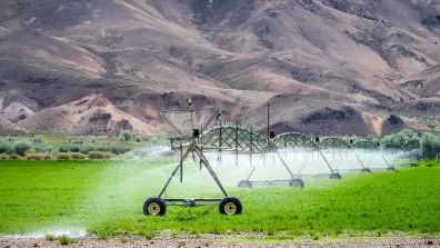 Système d'irrigation agricole 