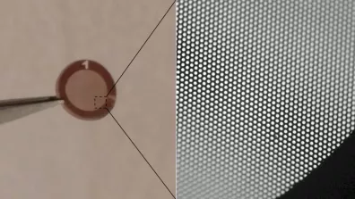 Échantillon de graphène de 3 mm de diamètre pour test