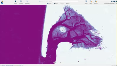 Probabilité d'occurence de présence d'eau (100% Mauve, 0% blanc) sur le bassin d'arcachon, issu de la chaine SurfWater