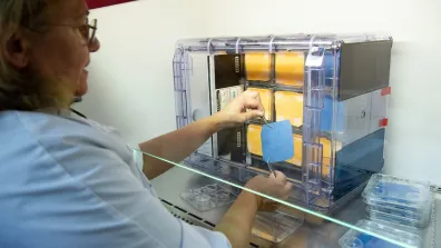 Intégration du modèle de vol ChlorISS de la mission εpsilon