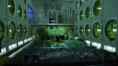 Le jardin à oxygène dans le vaisseau spatial de Sunshine.