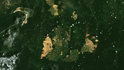 Image satellite de Borneo