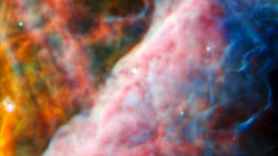 Image sur l’étoile d203-506 par Webb, dans la nébuleuse d'Orion 