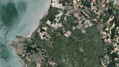 Image satellite du marais de Brouages