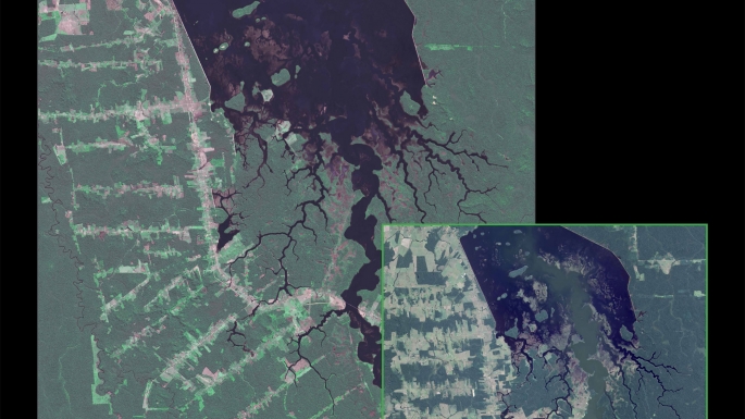 [1994-2015] Forêt Rondônia