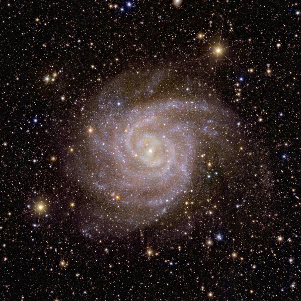 Galaxie spirale IC 342 vue par Euclid