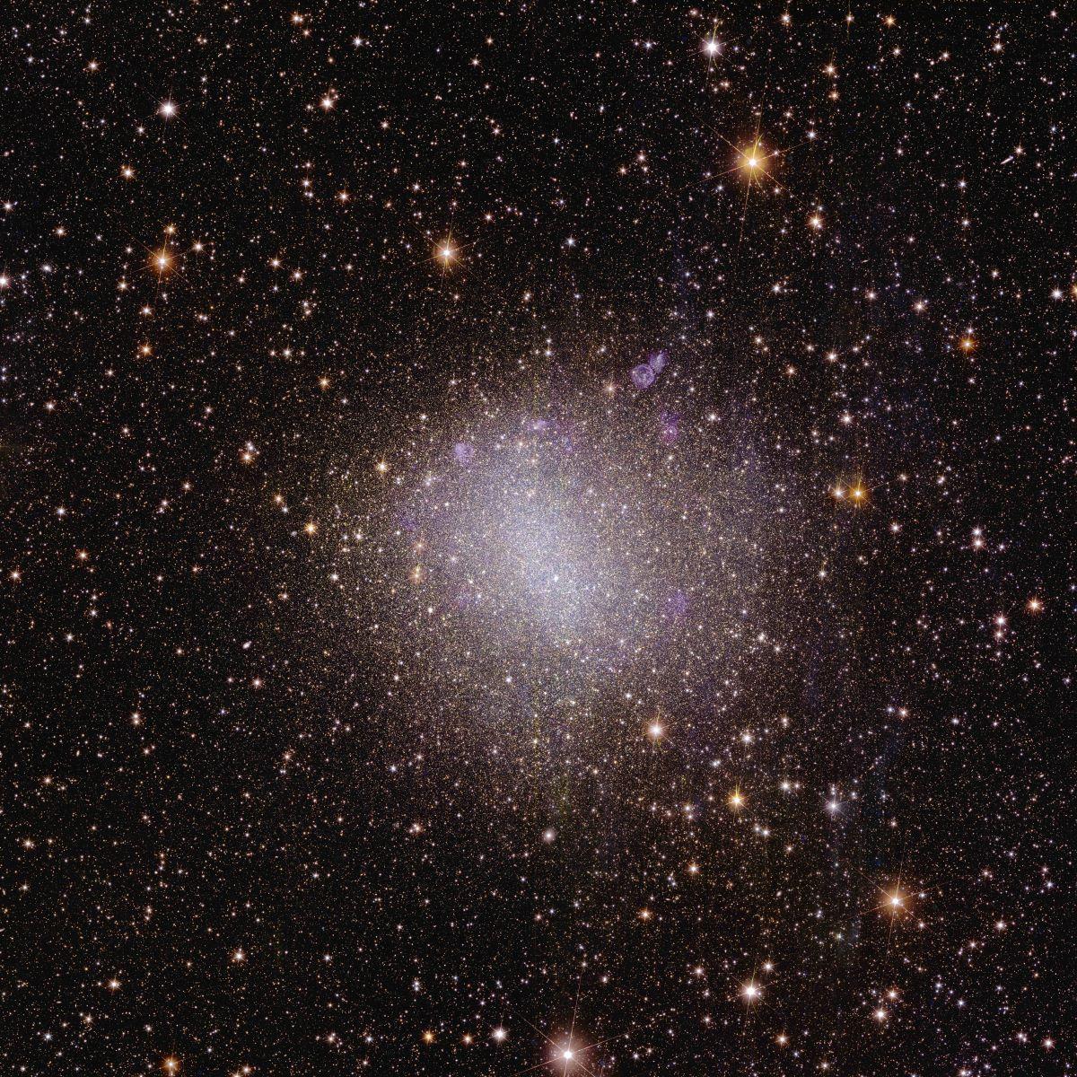 Galaxie irrégulière NGC 6822 vue par Euclid