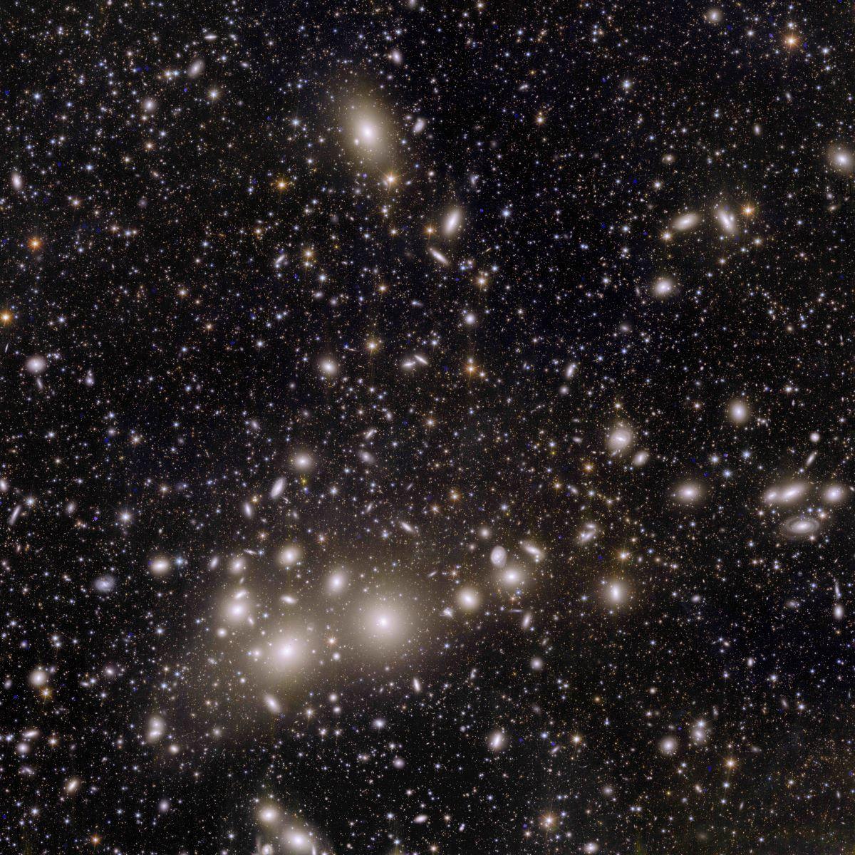 Amas de galaxies Perseus vu par Euclid