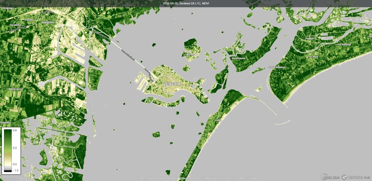 Image satellite de Venise