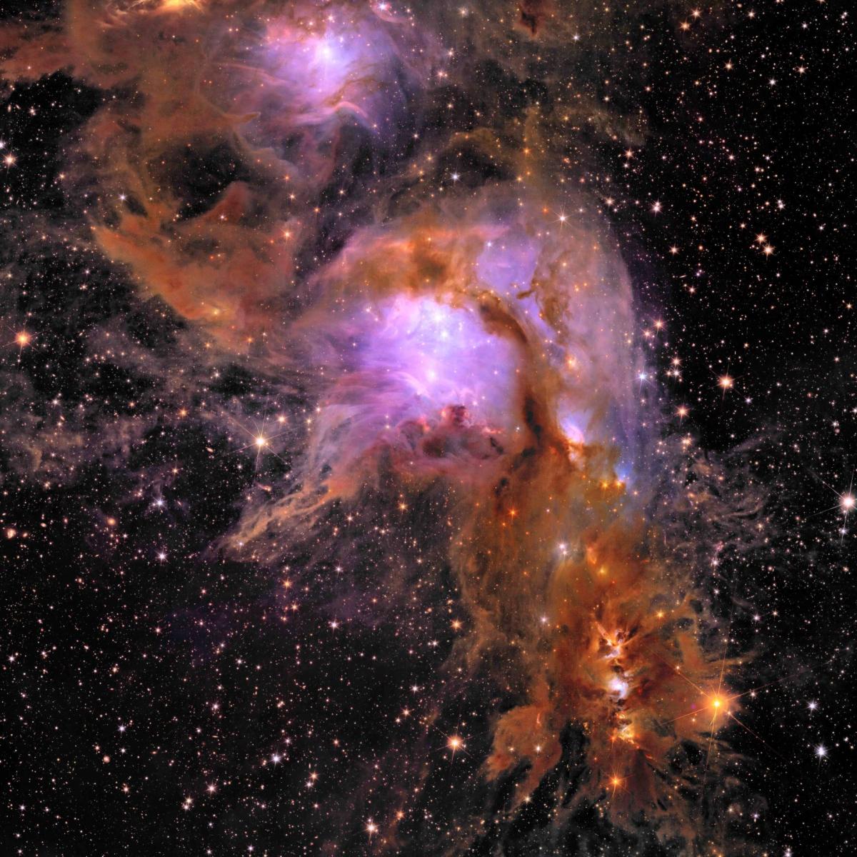 Pouponnière d'étoiles Messier 78 vue par Euclid, 2024