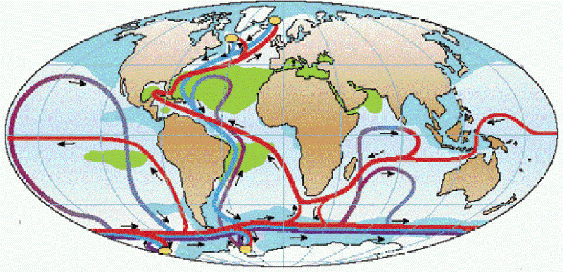 Carte de la circulation thermohaline