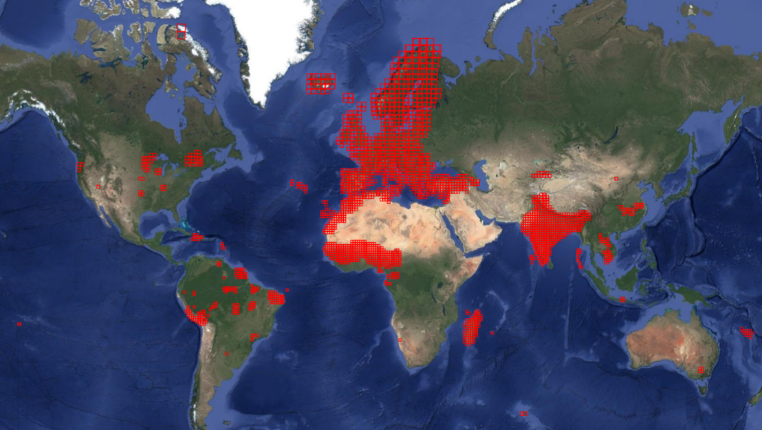 Carte du monde, où apparaissent en rouge les tuiles Sentinel-2 traitées par le centre de production Hespérides. Carte du monde, où apparaissent en rouge les tuiles Sentinel-2 traitées par le centre de production Hespérides.