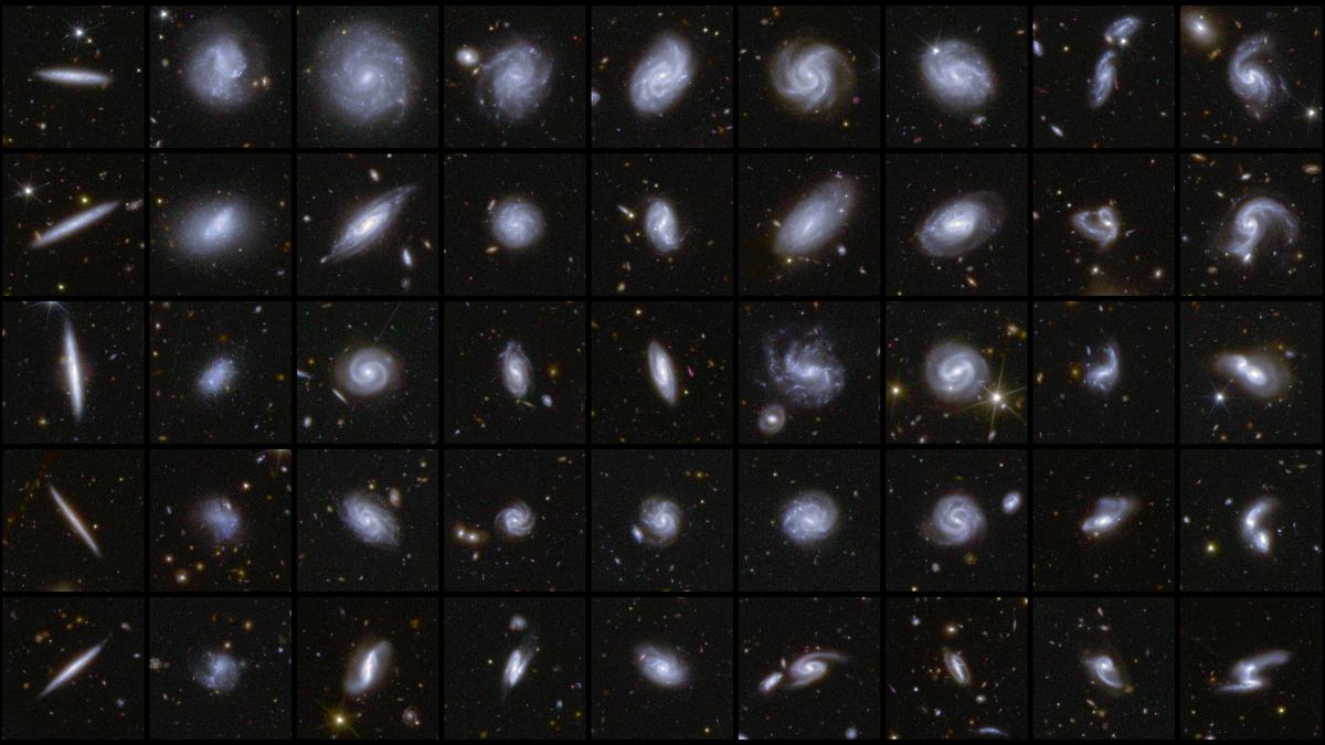 Galaxies de formes différentes capturées par Euclid.