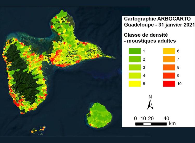 Cartographie de la densité des moustiques en Guadeloupe Cartographie de la densité des moustiques en Guadeloupe