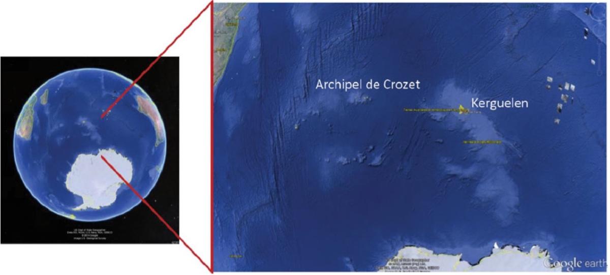 Globe avec localisation des îles Crozet et Kerguelen