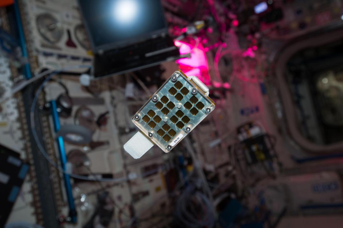 Expérience Matiss-2 à bord de la Station spatiale internationale