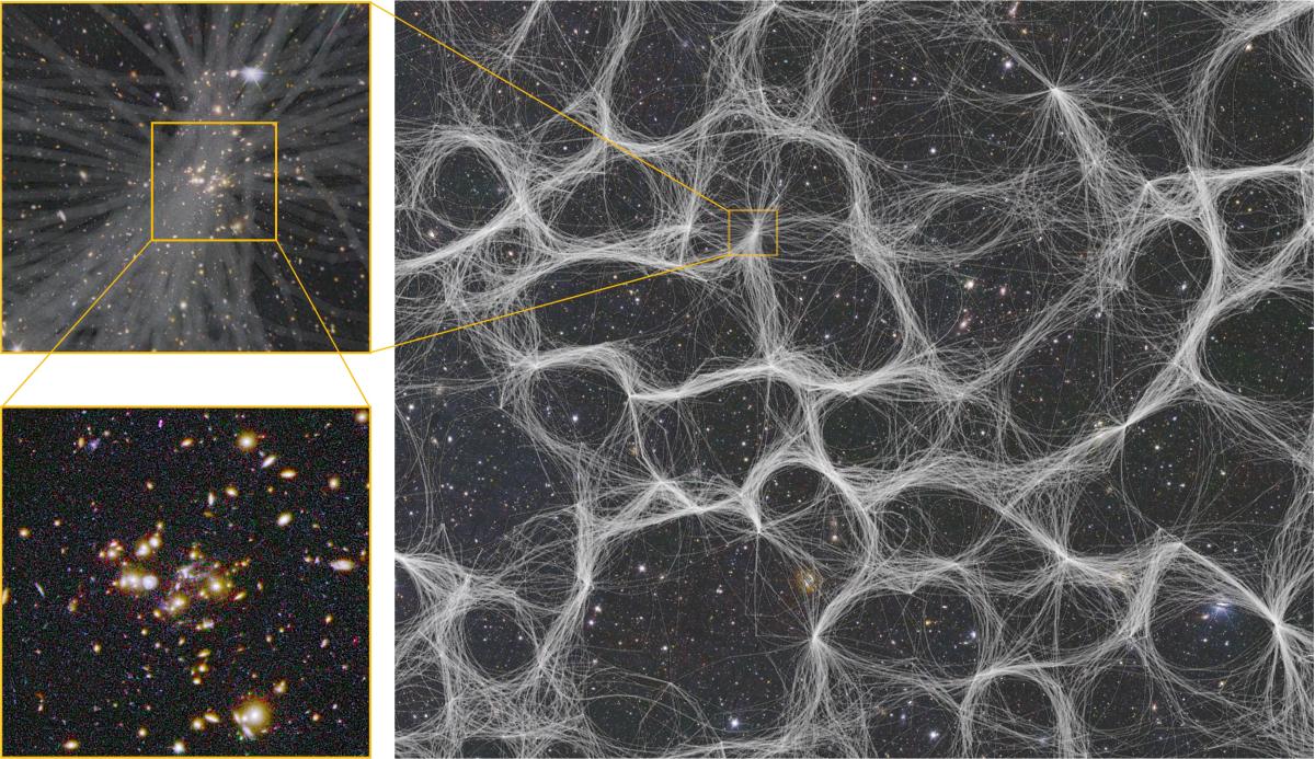 Images de l’évolution des galaxies dans la toile cosmique