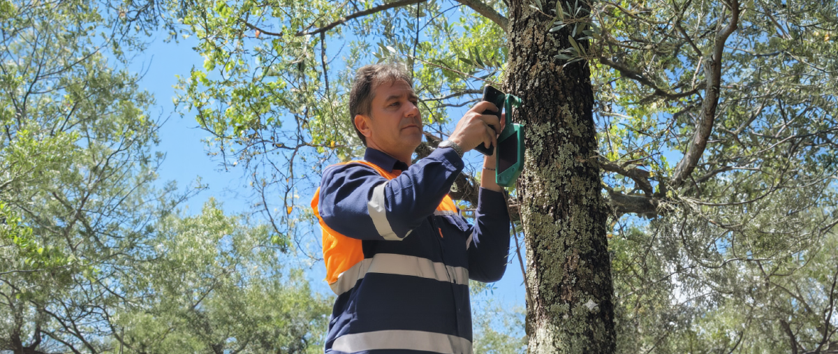 Un technicien fixe un capteur sur un arbre.