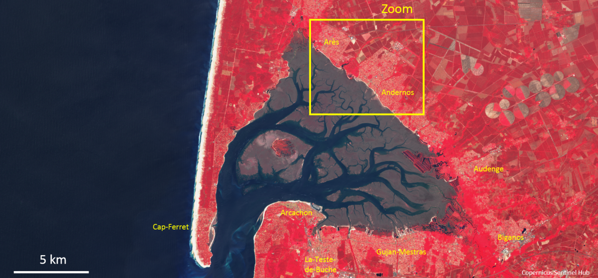 image satellite du Bassin d’Arcachon