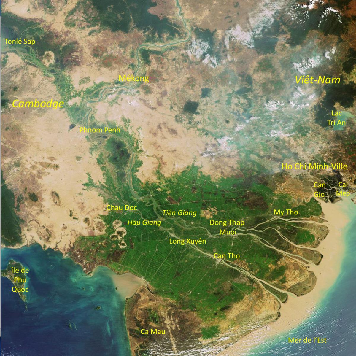 Image satellite du delta du Mékong, au Vietnam