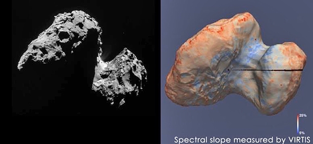 La composition de la surface de la comète est très homogène avec une petite différence au niveau de la région du cou qui contiendrait peut-être de la glace d’eau. Crédits : F. Capaccioni et al.